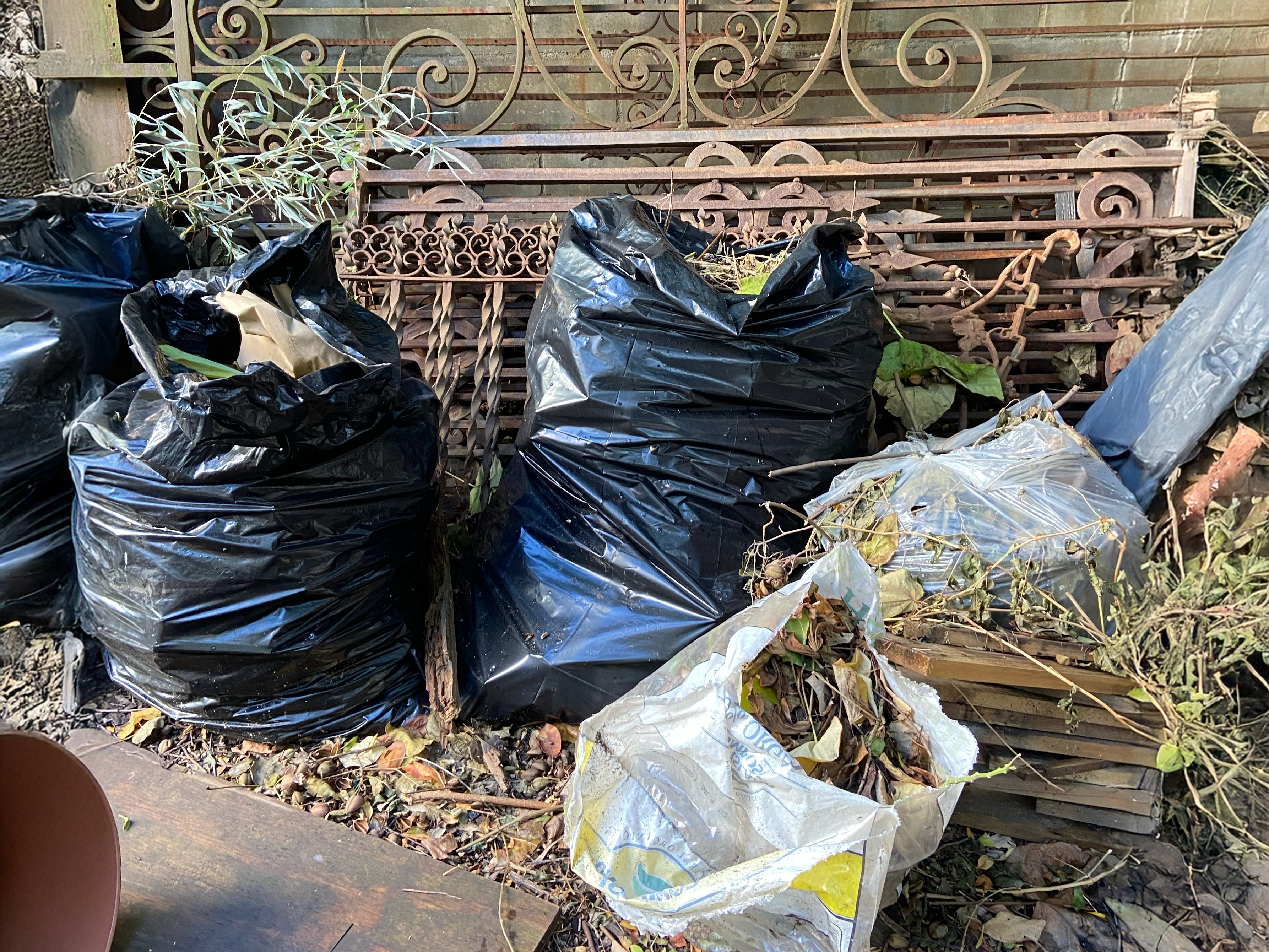 Elizabeth Street Garden Volunteering